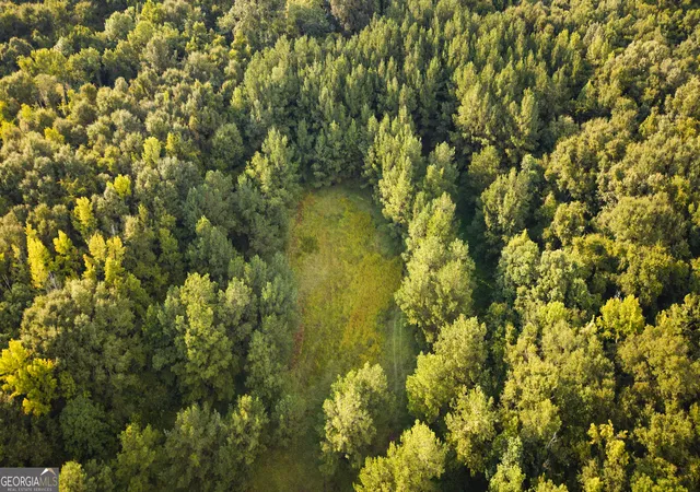 Photo 3 of Land for sale at 0 Chatham St Rd, Montezuma, GA 31063 | MLS# 10827946 | Listing updated on 2026-09-01