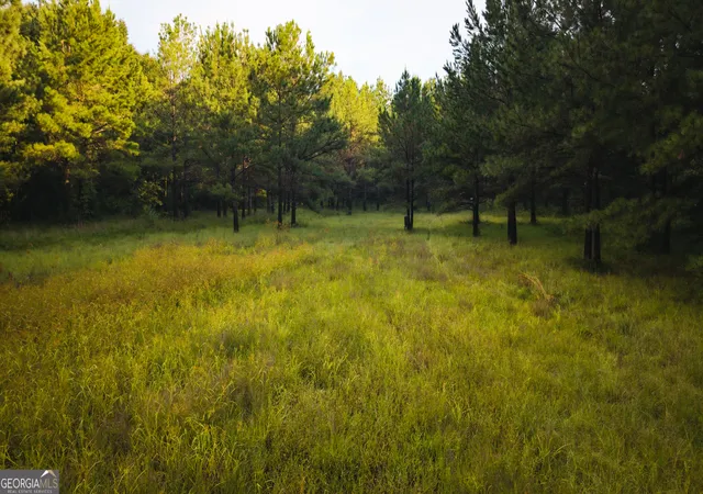 Photo 4 of Land for sale at 0 Chatham St Rd, Montezuma, GA 31063 | MLS# 10827946 | Listing updated on 2026-09-01
