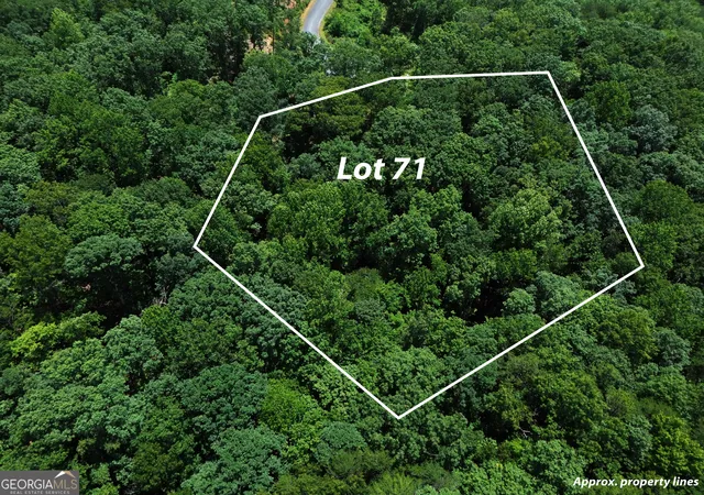 2nd image of Lt 71 High Summit, Jasper, GA 30143 | MLS# 10812133