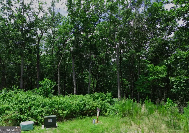 5th image of Lt 71 High Summit, Jasper, GA 30143 | MLS# 10812133