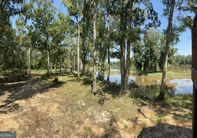 1st image of 0 Eagles Pt #LOT 12, Surrency, GA 31563 | MLS# 10754939