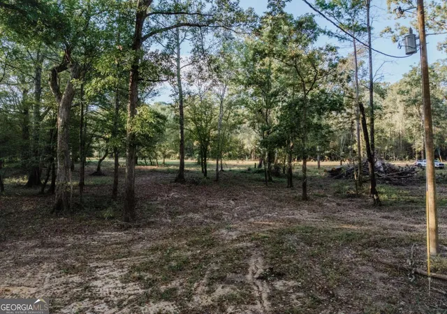 Photo 4 of Land for sale at 0 Eagles Pt #LOT 12, Surrency, GA 31563 | MLS# 10754939 | Listing updated on 2026-09-14