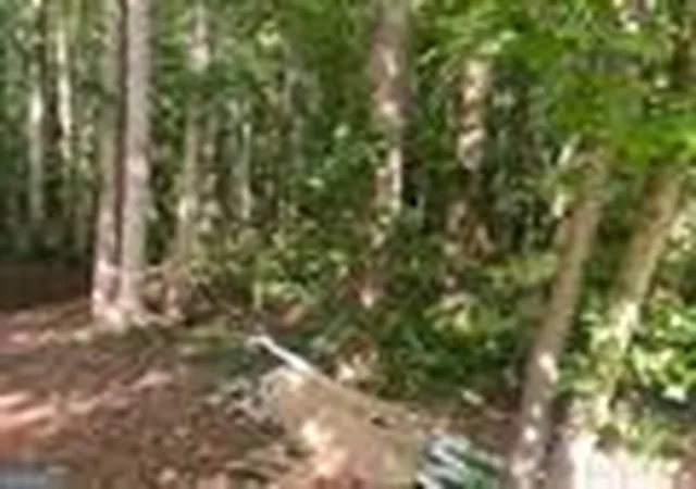 Photo 1 of Land for sale at 578 Bristle Cone Dr, Macon, GA 31220 | MLS# 10305849 | Listing updated on 2026-05-24