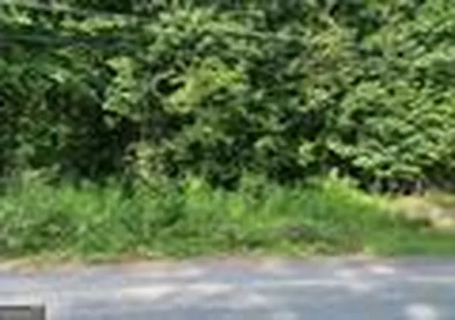 Photo 2 of Land for sale at 578 Bristle Cone Dr, Macon, GA 31220 | MLS# 10305849 | Listing updated on 2026-05-24