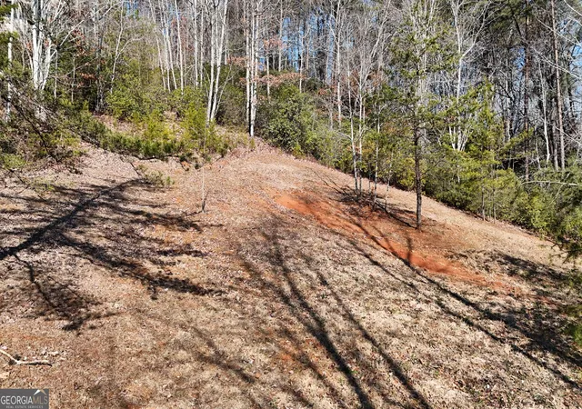 66th image of 120 Ridgeland, Sautee Nacoochee, GA 30571 | MLS# 10824717