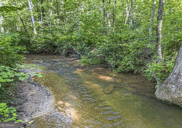 3rd image of 245 Sunrise Valley Rd, Blue Ridge, GA 30513 | MLS# 10821578