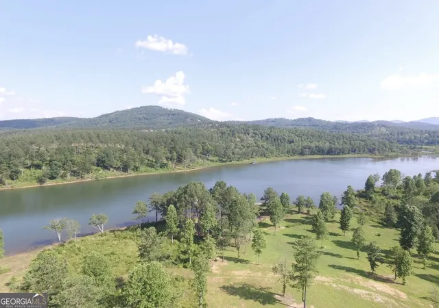 21st image of Lots 42 And 43 Northshore, Blairsville, GA 30512 | MLS# 10630384