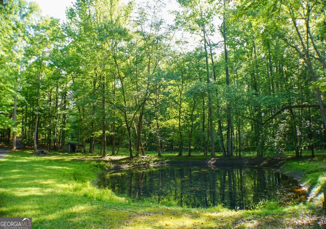 35th image of 335 Winding Stream Trl, Hampton, GA 30228 | MLS# 10764246