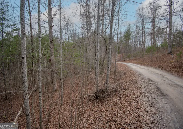 1st image of Lot 38 Posey Pl, Andrews, NC 28901 | MLS# 10716405