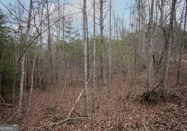 2nd image of Lot 38 Posey Pl, Andrews, NC 28901 | MLS# 10716405
