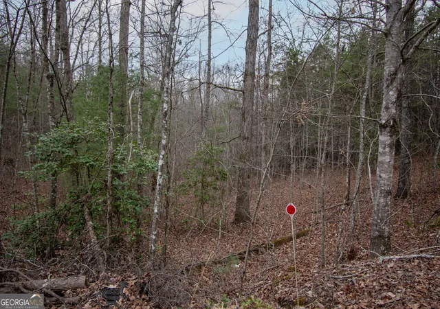 3rd image of Lot 38 Posey Pl, Andrews, NC 28901 | MLS# 10716405