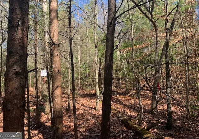 Photo 1 of Land for sale at 0 East New Hope Rd #TRACT C, Ellijay, GA 30536 | MLS# 10788910 | Listing updated on 2026-08-24