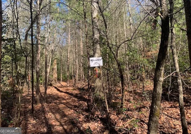 Photo 2 of Land for sale at 0 East New Hope Rd #TRACT C, Ellijay, GA 30536 | MLS# 10788910 | Listing updated on 2026-08-24