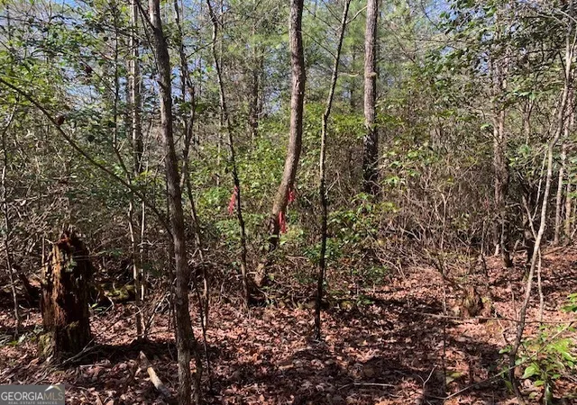 Photo 2 of Land for sale at 0 East New Hope Rd #TRACT C, Ellijay, GA 30536 | MLS# 10788910 | Listing updated on 2026-08-24