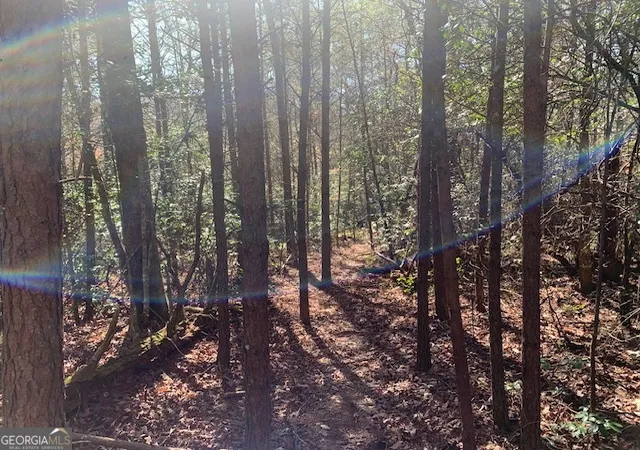 Photo 3 of Land for sale at 0 East New Hope Rd #TRACT C, Ellijay, GA 30536 | MLS# 10788910 | Listing updated on 2026-08-24