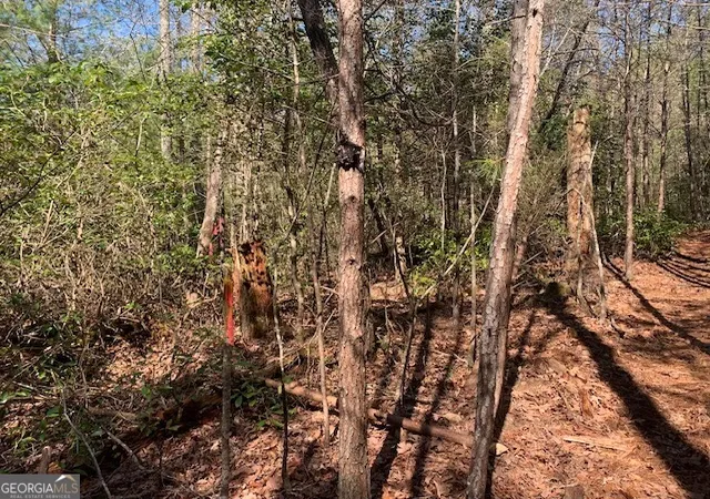 Photo 5 of Land for sale at 0 East New Hope Rd #TRACT C, Ellijay, GA 30536 | MLS# 10788910 | Listing updated on 2026-08-24
