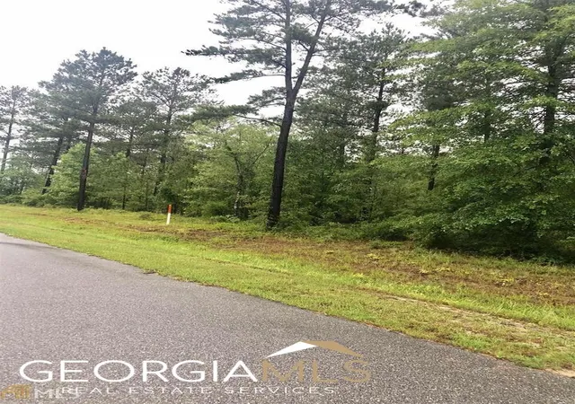 2nd image of 0 Apalachicola Trl #LOT 40, Dublin, GA 31021 | MLS# 20128113