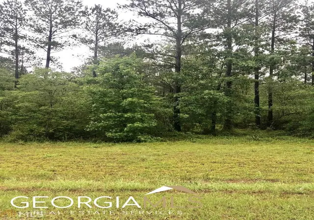 6th image of 0 Apalachicola Trl #LOT 40, Dublin, GA 31021 | MLS# 20128113