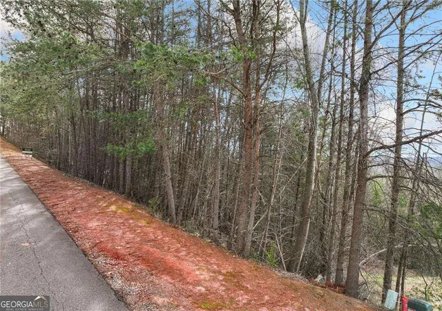 Photo 4 of Land for sale at Lot 30 Crown Mountain Wy, Dahlonega, GA 30533 | MLS# 10823147 | Listing updated on 2026-08-24