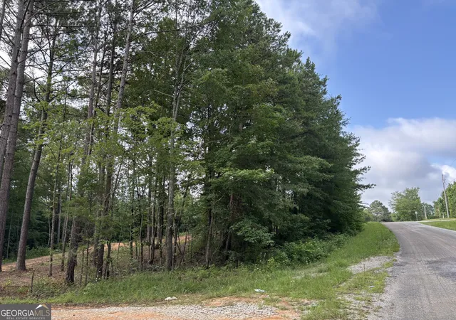 16th image of Tract 1 343 County Road 892, Wedowee, AL 36278 | MLS# 10787833