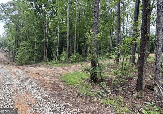 Homes for sale in Wedowee, AL | Tract 1 343 County Road 892, Wedowee, AL 36278 | MLS# 10787833