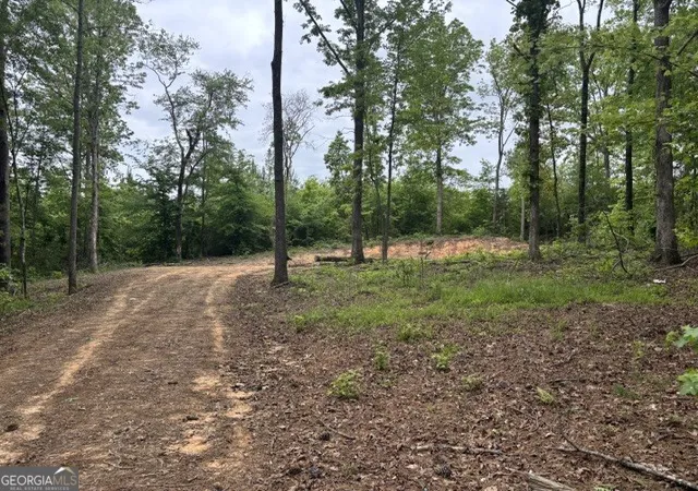 Homes for sale in Wedowee, AL | Tract 1 343 County Road 892, Wedowee, AL 36278 | MLS# 10787833
