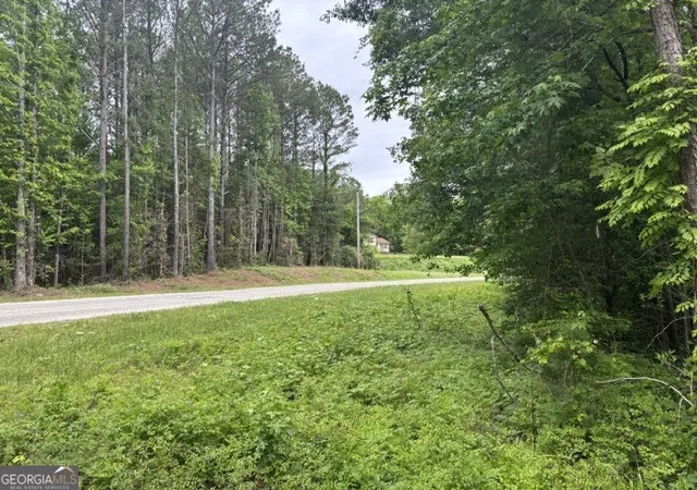 Homes for sale in Wedowee, AL | Tract 1 343 County Road 892, Wedowee, AL 36278 | MLS# 10787833