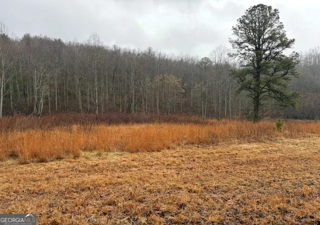 3rd image of Lot 42 Whisper Woods Rd, Hiawassee, GA 30546 | MLS# 10693912