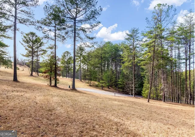 Homes for sale in Blairsville, GA | Lot 87 Creek Hollow Lane, Blairsville, GA 30512 | MLS# 10785961