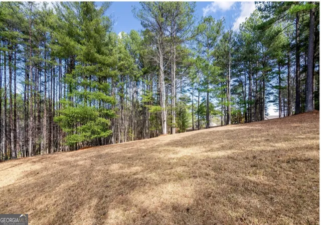 Homes for sale in Blairsville, GA | Lot 87 Creek Hollow Lane, Blairsville, GA 30512 | MLS# 10785961