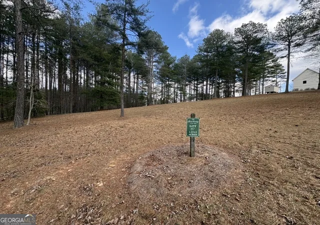 Homes for sale in Blairsville, GA | Lot 87 Creek Hollow Lane, Blairsville, GA 30512 | MLS# 10785961