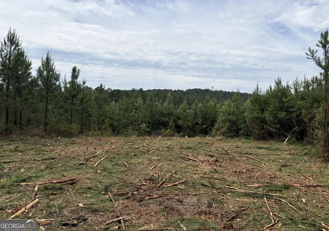 Homes for sale in Taylorsville, GA | 0 John Kay Rd, Taylorsville, GA 30178 | MLS# 10804158