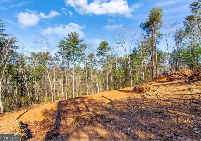 Homes for sale in Ellijay, GA | Lt 11 Whispering Oaks Dr, Ellijay, GA 30536 | MLS# 10687930