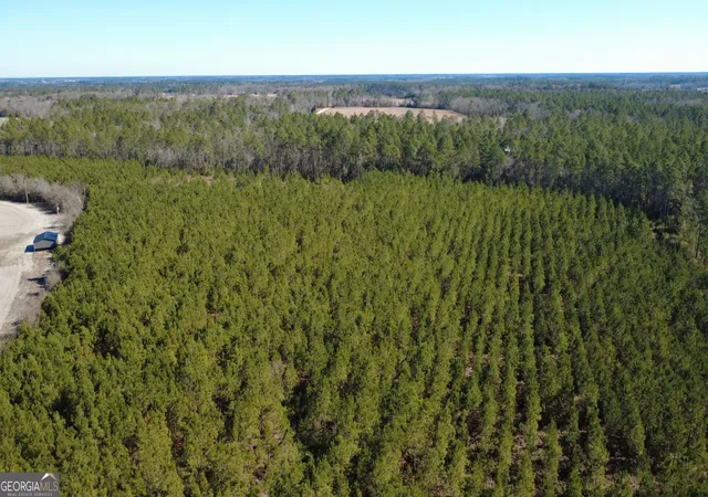 Homes for sale in Mershon, GA | Tract 3 Greyhound Rd, Mershon, GA 31551 | MLS# 10689499