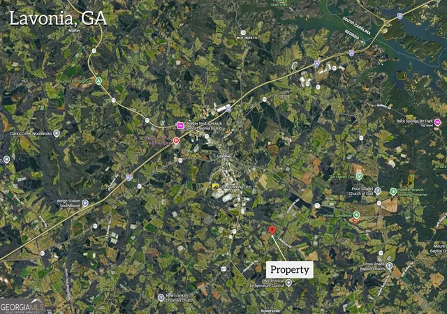 44th image of 0 Lankford Rd, Lavonia, GA 30553 | MLS# 10778503
