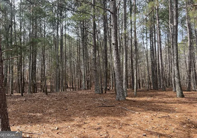Photo 1 of Land for sale at 325 Everett Springs Rd Ne, Calhoun, GA 30701 | MLS# 10457859 | Listing updated on 2026-02-10