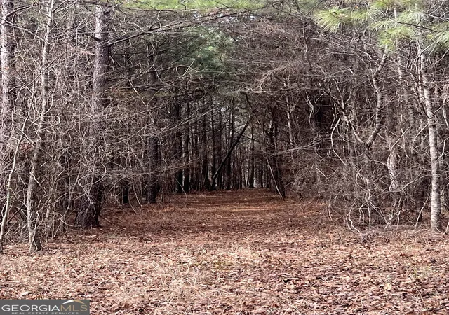 Photo 4 of House for sale at 325 Everett Springs Rd Ne, Calhoun, GA 30701 | MLS# 10457859 | Listing updated on 2026-02-10