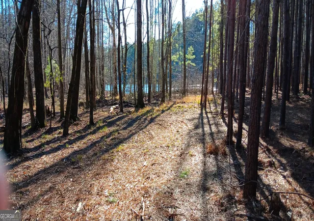 Photo 3 of Land for sale at 00 Cedardale Dr, Griffin, GA 30224 | MLS# 10272855 | Listing updated on 2026-01-16