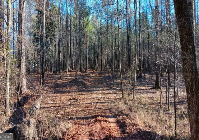 Photo 4 of Land for sale at 00 Cedardale Dr, Griffin, GA 30224 | MLS# 10272855 | Listing updated on 2026-01-16
