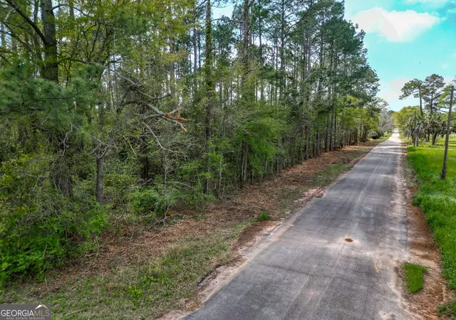 Homes for sale in Parrott, GA | 109 Main St, Parrott, GA 39877 | MLS# 10721420