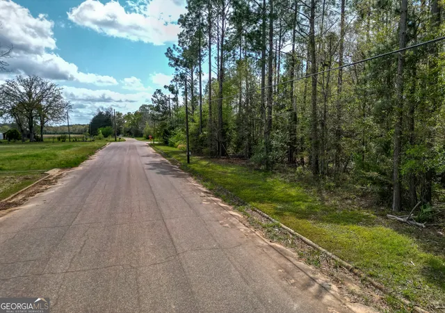 Homes for sale in Parrott, GA | 109 Main St, Parrott, GA 39877 | MLS# 10721420