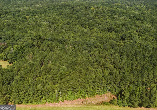Photo 3 of Land for sale at 3140 Hwy 229, Mansfield, GA 30055 | MLS# 10831050 | Listing updated on 2026-09-04