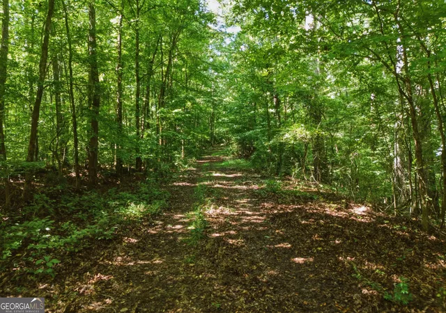 Photo 4 of Land for sale at 3140 Hwy 229, Mansfield, GA 30055 | MLS# 10831050 | Listing updated on 2026-09-04