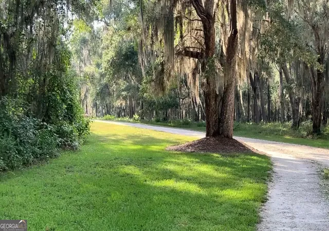 Photo 1 of Land for sale at 0 Wood Stork Dr, Darien, GA 31305 | MLS# 10789223 | Listing updated on 2026-07-03