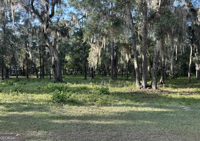 Photo 2 of Land for sale at 0 Wood Stork Dr, Darien, GA 31305 | MLS# 10789223 | Listing updated on 2026-07-03