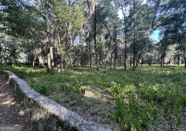 Photo 3 of Land for sale at 0 Wood Stork Dr, Darien, GA 31305 | MLS# 10789223 | Listing updated on 2026-07-03