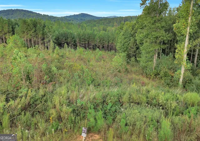 2nd image of Lt 271 Highgrove Dr, Talking Rock, GA 30175 | MLS# 10614207