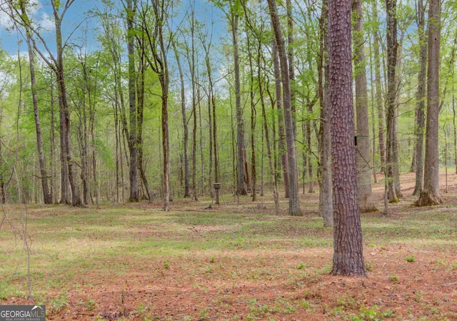Homes for sale in Oxford, GA | 207 Boogers Hill Rd, Oxford, GA 30054 | MLS# 10728258