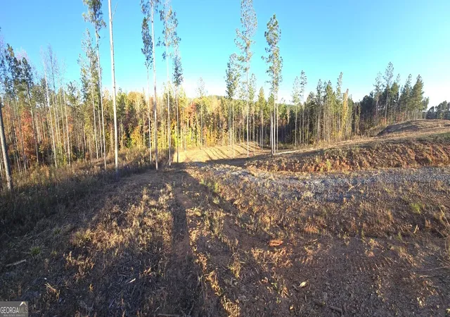 Photo 2 of Land for sale at Lot 132 River Reach Ln, Talking Rock, GA 30175 | MLS# 10408912 | Listing updated on 2026-06-22