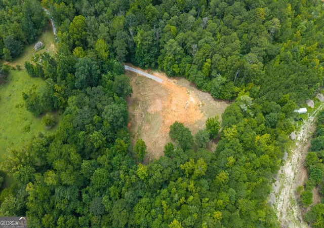 4th image of 468 Rainey Rd, Temple, GA 30179 | MLS# 10819389